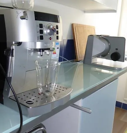 Ferienwohnung Elite Fiesch